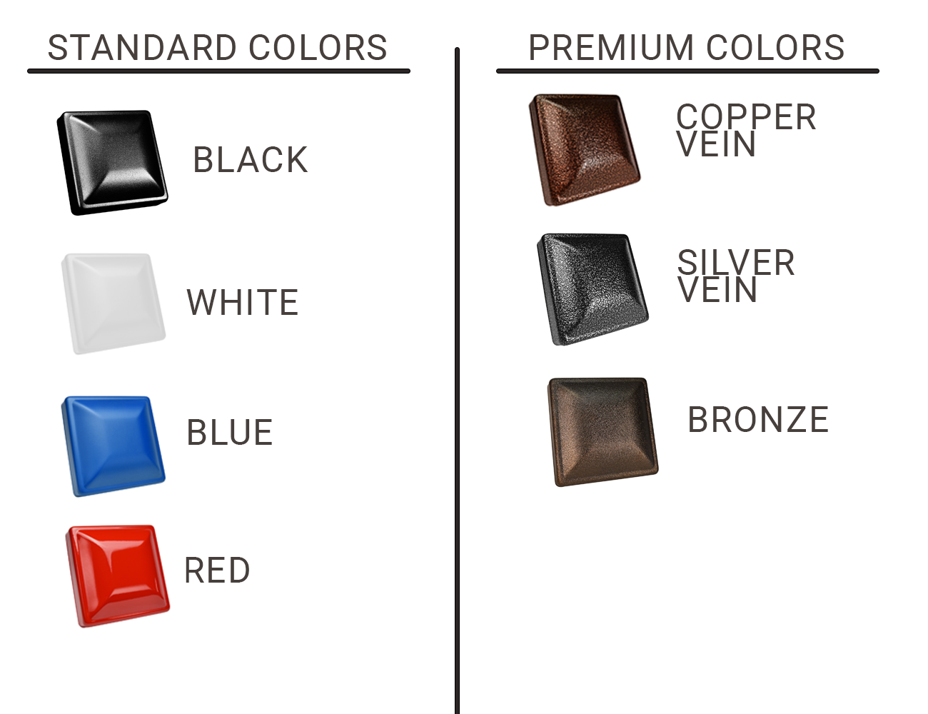 New zealand fan tail hammer in Bird