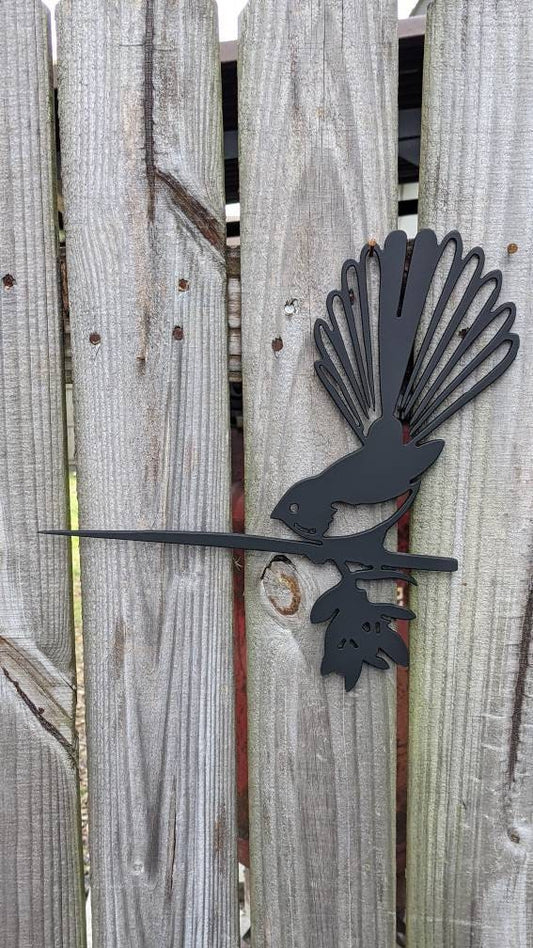 New zealand fan tail hammer in Bird